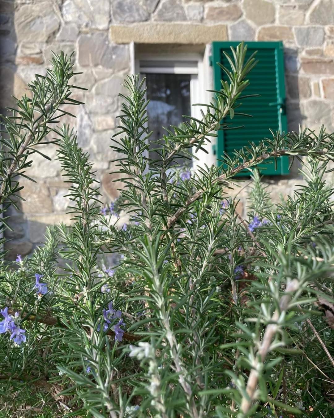 La Finestra Sul Parco Apartman La Spezia Kültér fotó